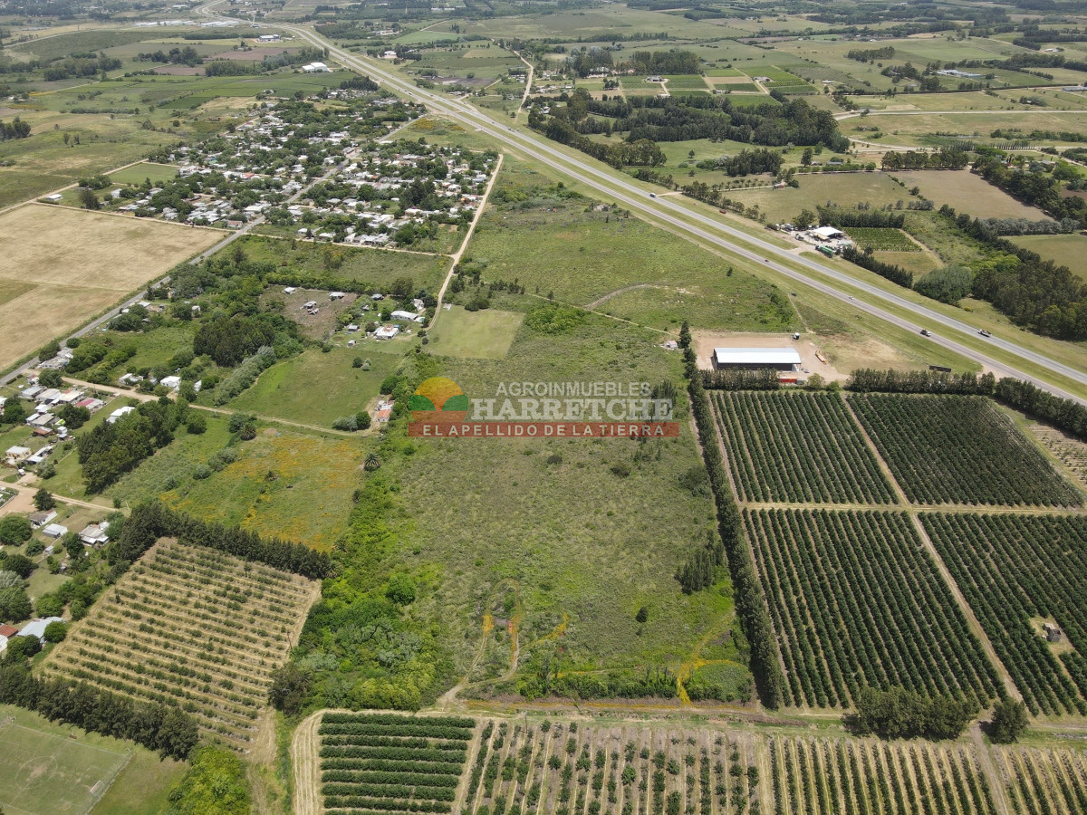 Terreno ID.95 - Terreno 4 en venta sobre ruta 5 suburbanos 4 padrones. ¡¡¡ÚNICOS!!!