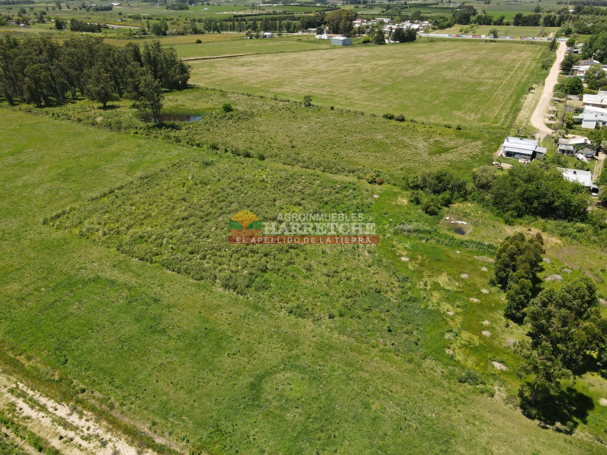 Terreno ID.348 - Terreno de 8000 m2 en Progreso, ideal fraccionamiento.