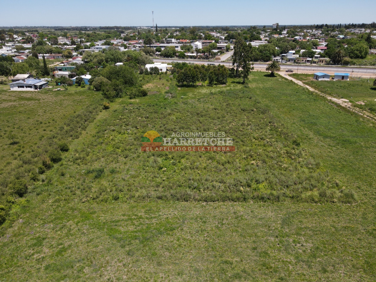 Terreno ID.348 - Terreno de 8000 m2 en Progreso, ideal fraccionamiento.