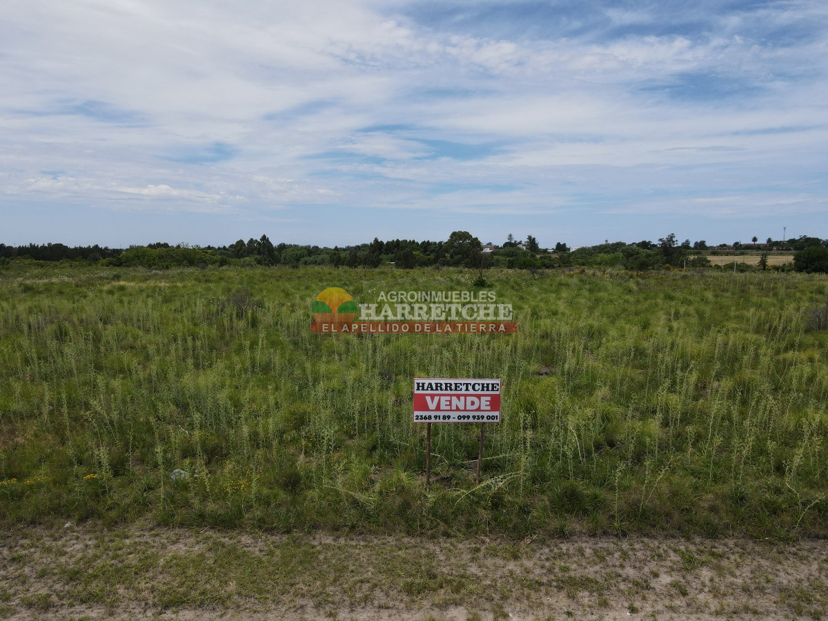 Terreno ID.95 - Terreno 4 en venta sobre ruta 5 suburbanos 4 padrones. ¡¡¡ÚNICOS!!!