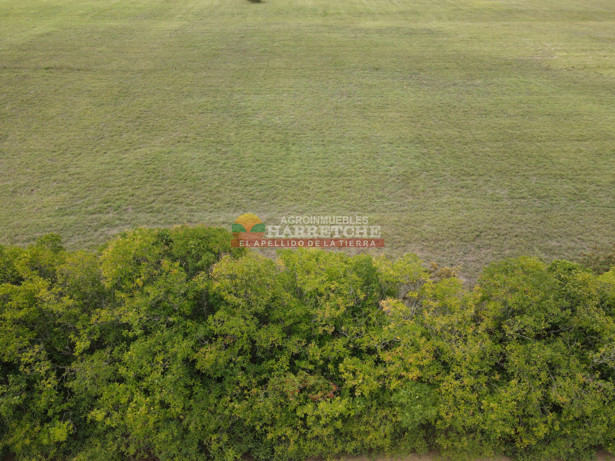 Terreno ID.517 - Terreno en Progreso, 360 m2 en Jardín de los Ingleses (4) ¡Financiación directa!