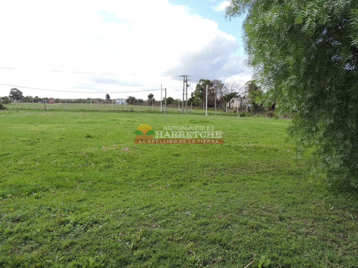 Terreno ID.310 - Casa con terreno en venta a pasitos de ruta 1, 7395 m2, Paso de la Arena.