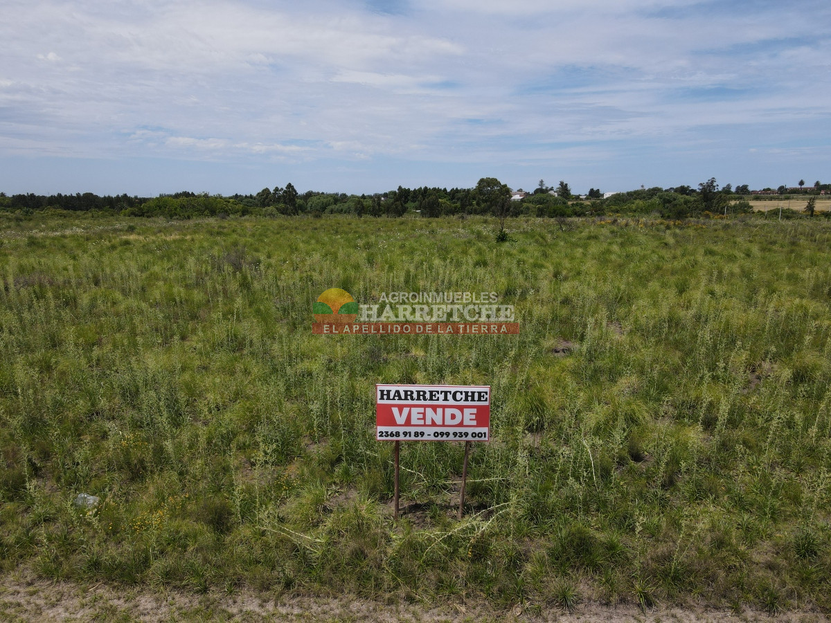 Terreno ID.95 - Terreno 4 en venta sobre ruta 5 suburbanos 4 padrones. ¡¡¡ÚNICOS!!!