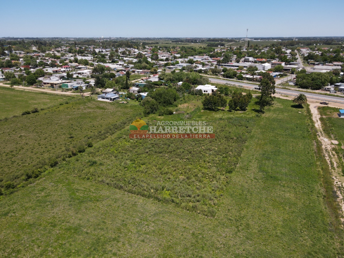 Terreno ID.348 - Terreno de 8000 m2 en Progreso, ideal fraccionamiento.