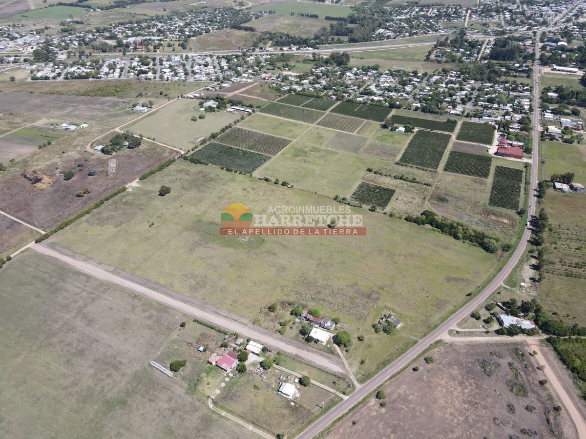 Terreno ID.409 - Terrenos en venta en Progreso, fraccionamiento Jardín de los Ingleses