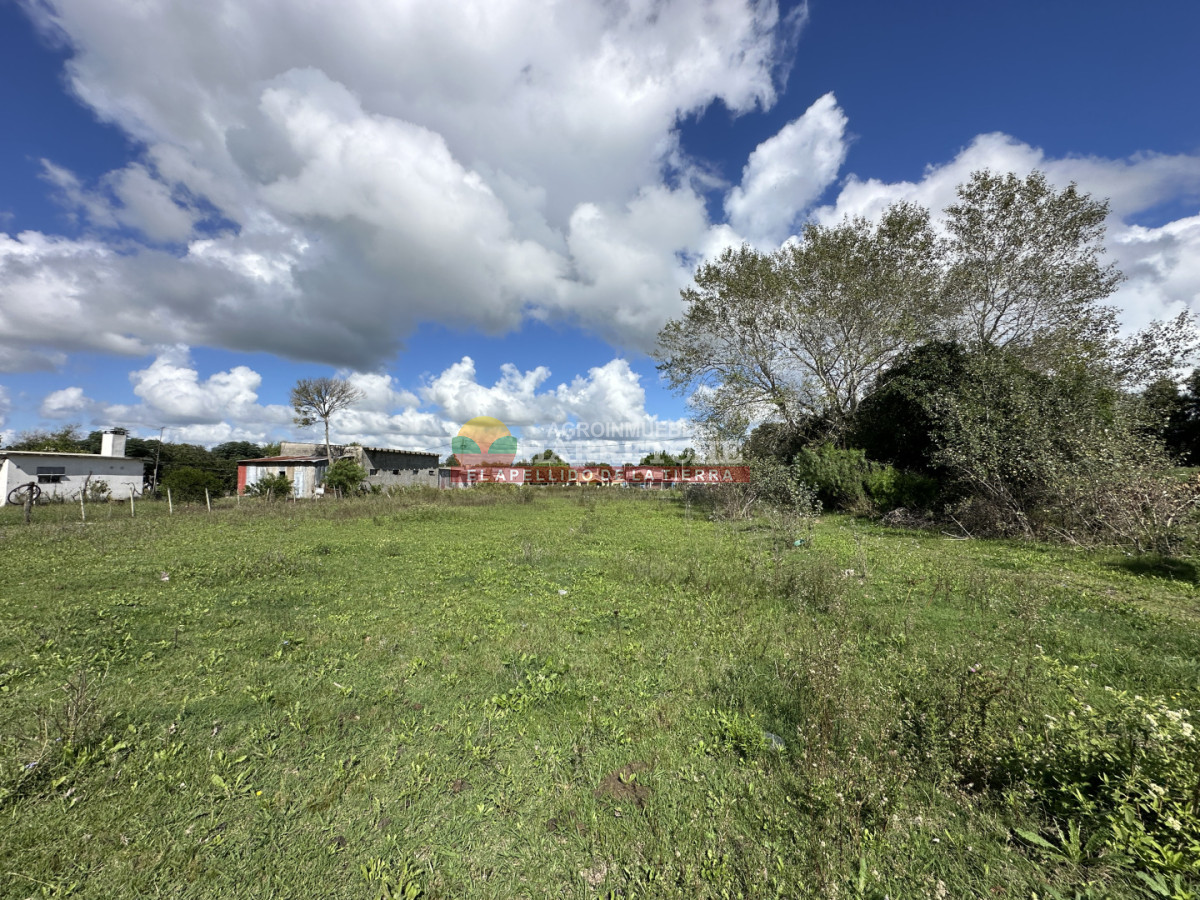 Terreno ID.514 - Terreno en Santa Lucia, 4696 m2 con frente a ruta y calle!