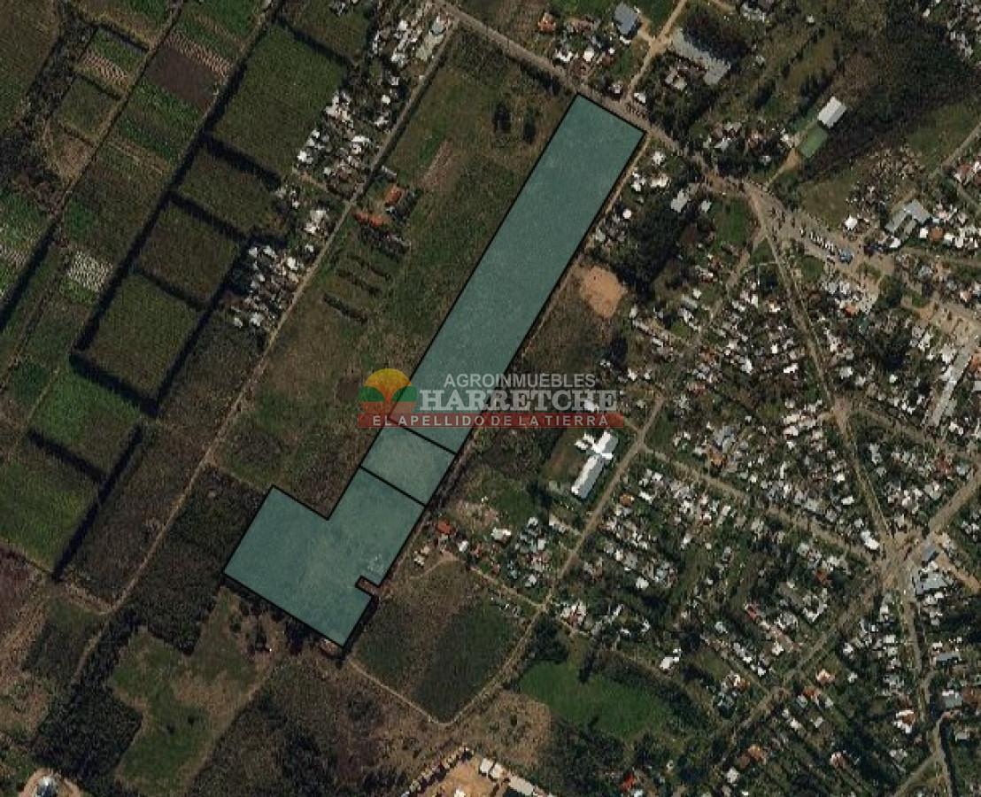 Terreno ID.414 - Terreno en Paso de la Arena, 77.000 m2 únicos en la zona, sobre Batlle Berres.