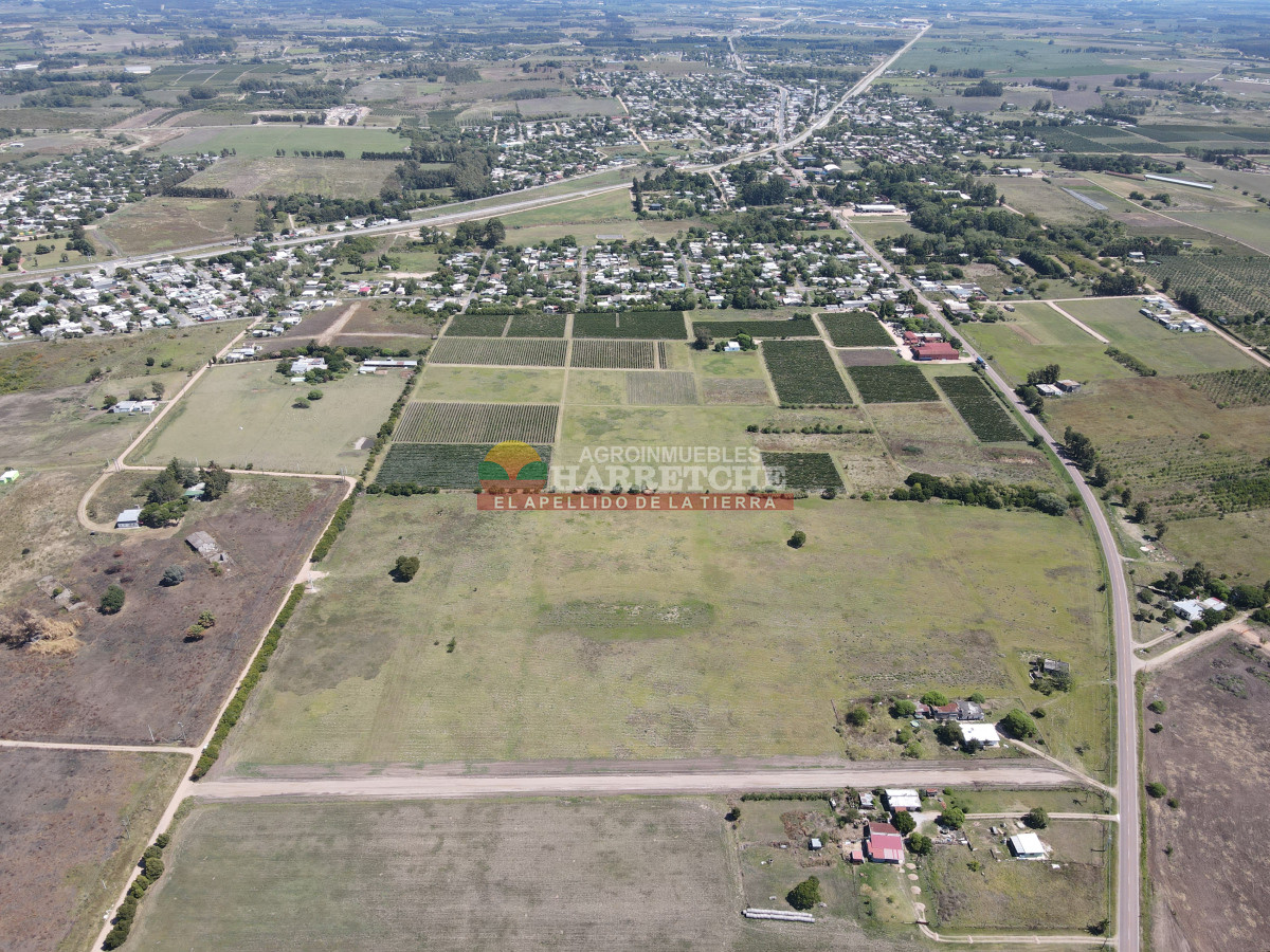 Terreno ID.409 - Terrenos en venta en Progreso, fraccionamiento Jardín de los Ingleses