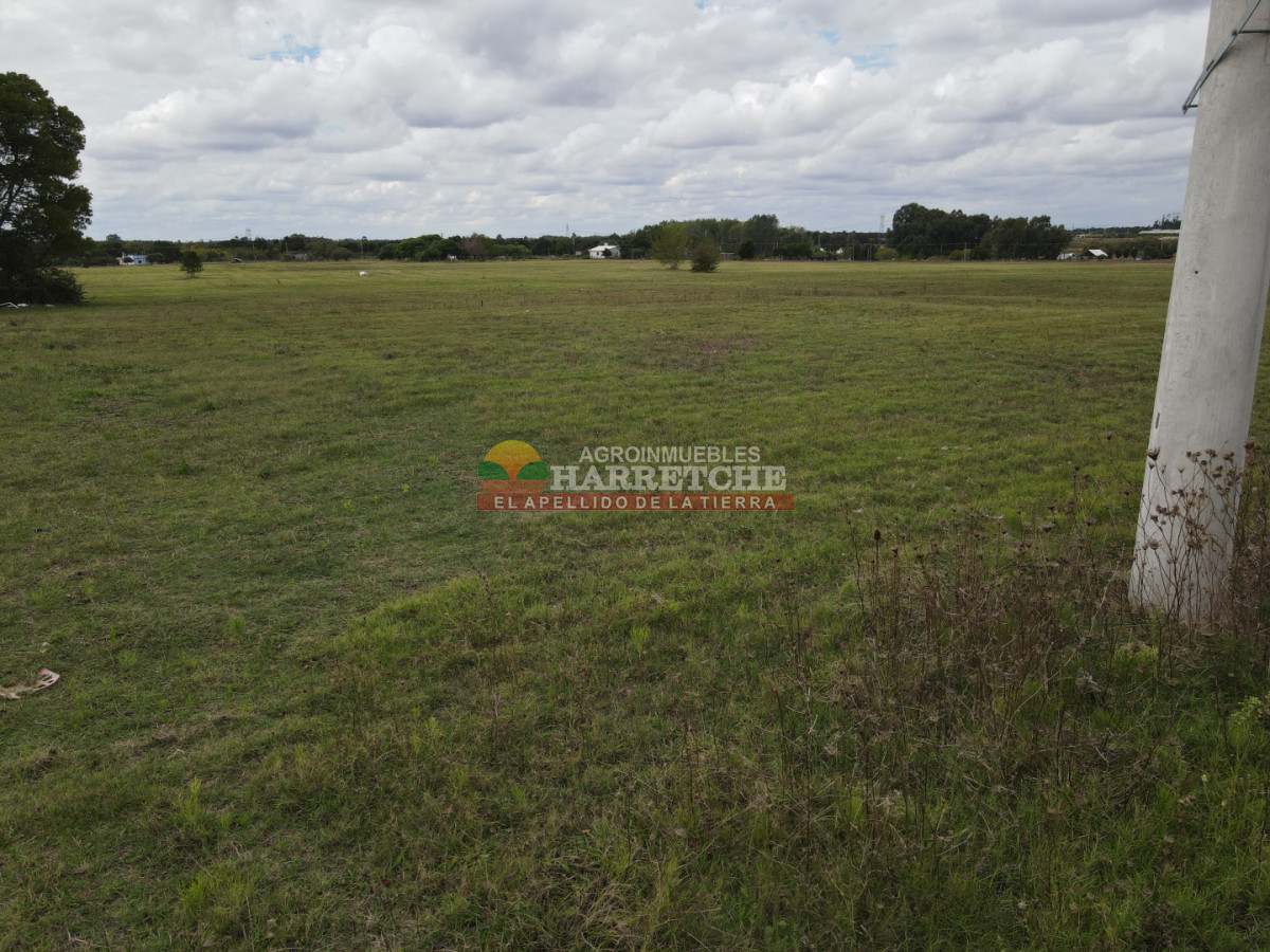 Terreno ID.515 - Terreno de 364 m2 en Progreso, Jardín de los Ingleses (1) ¡Financiación directa! 