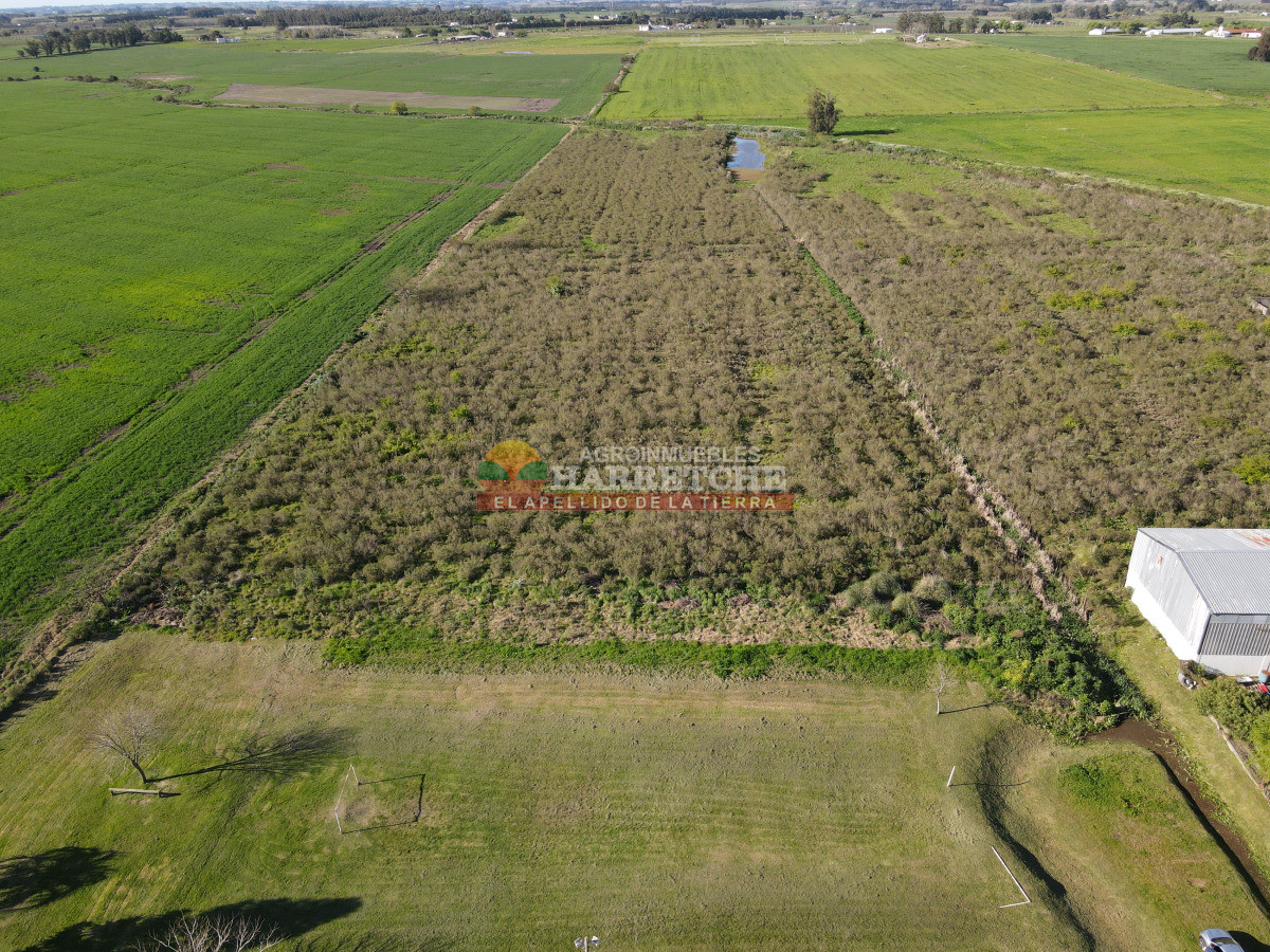 Terreno ID.485 - Terreno urbano en Progreso, 10.194 m2 a 600 m de Av. Artigas