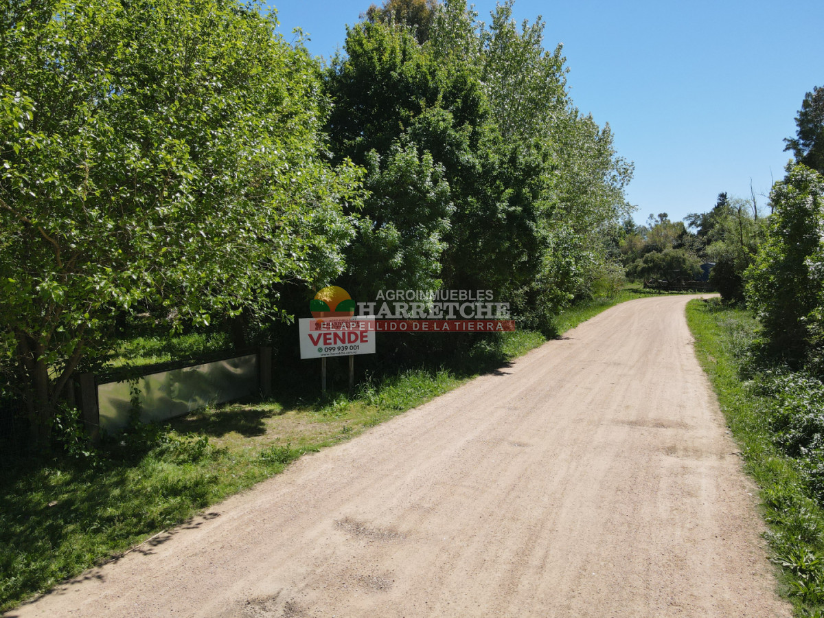 Terreno ID.489 - Terreno centrico para fraccionar en Los Cerrillos 