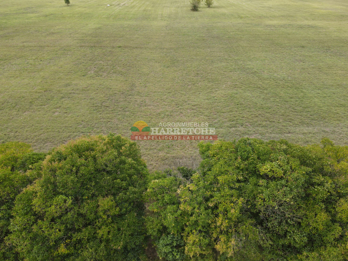 Terreno ID.519 - Terreno en Progreso, 360 m² en Jardín de los Ingleses® ¡Financiación directa!