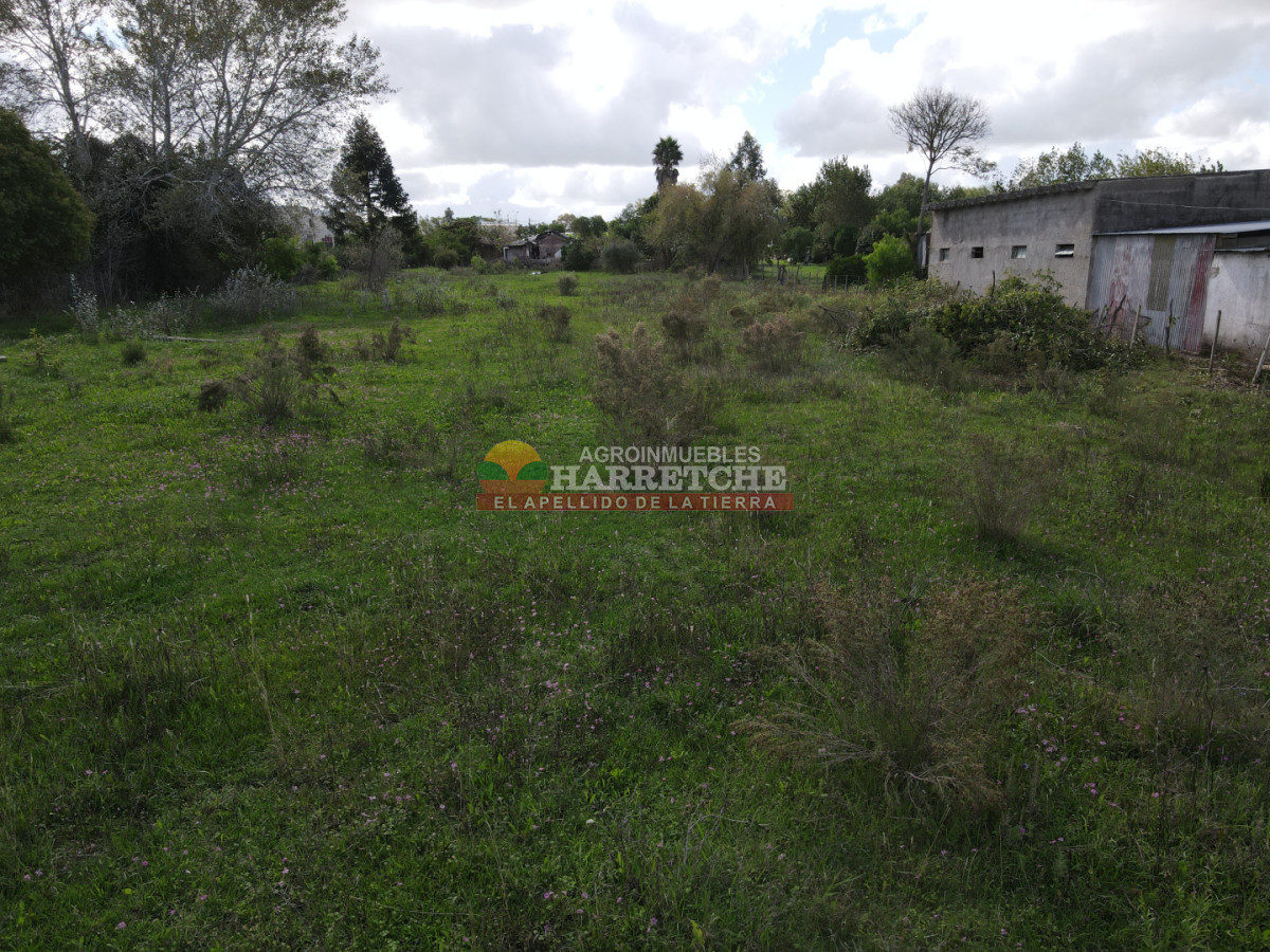 Terreno ID.514 - Terreno en Santa Lucia, 4696 m2 con frente a ruta y calle!