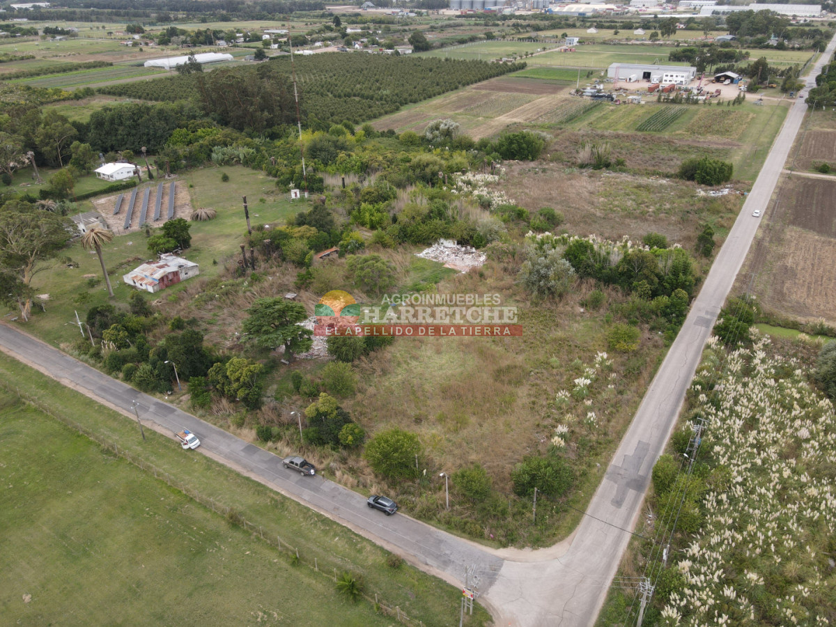 Terreno ID.512 - Terreno en Paso de la Arena, 15.789 m2, excelente ubicación! 