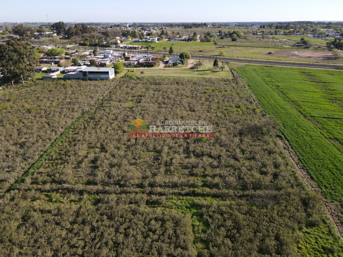 Terreno ID.485 - Terreno urbano en Progreso, 10.194 m2 a 600 m de Av. Artigas