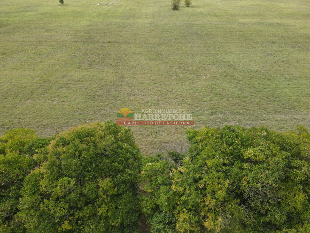 Terreno ID.519 - Terreno en Progreso, 360 m² en Jardín de los Ingleses® ¡Financiación directa!