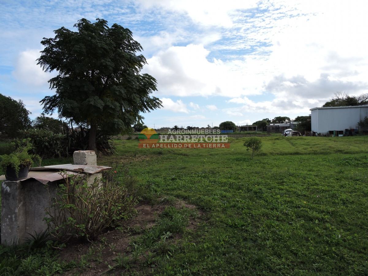 Terreno ID.310 - Casa con terreno en venta a pasitos de ruta 1, 7395 m2, Paso de la Arena.