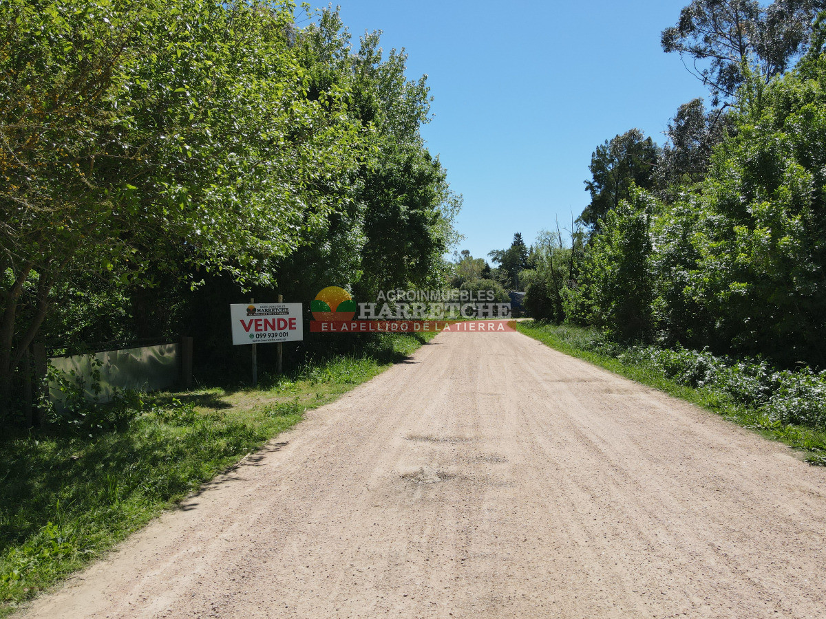 Terreno ID.489 - Terreno centrico para fraccionar en Los Cerrillos 