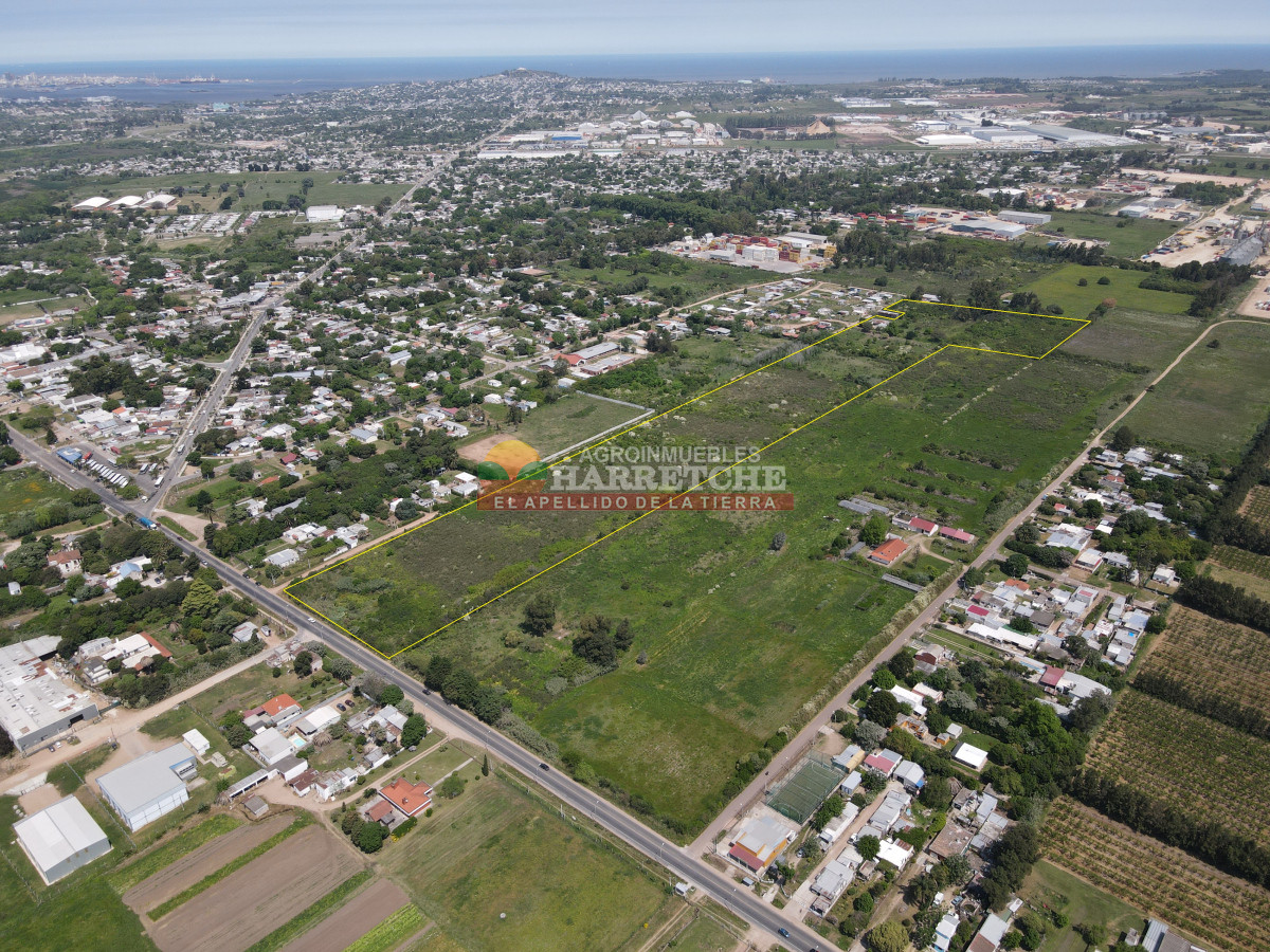 Terreno ID.414 - Terreno en Paso de la Arena, 77.000 m2 únicos en la zona, sobre Batlle Berres.
