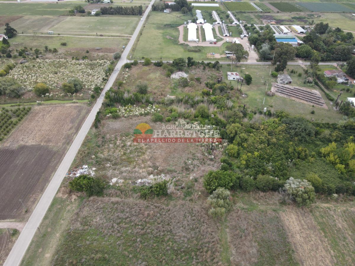 Terreno ID.512 - Terreno en Paso de la Arena, 15.789 m2, excelente ubicación! 