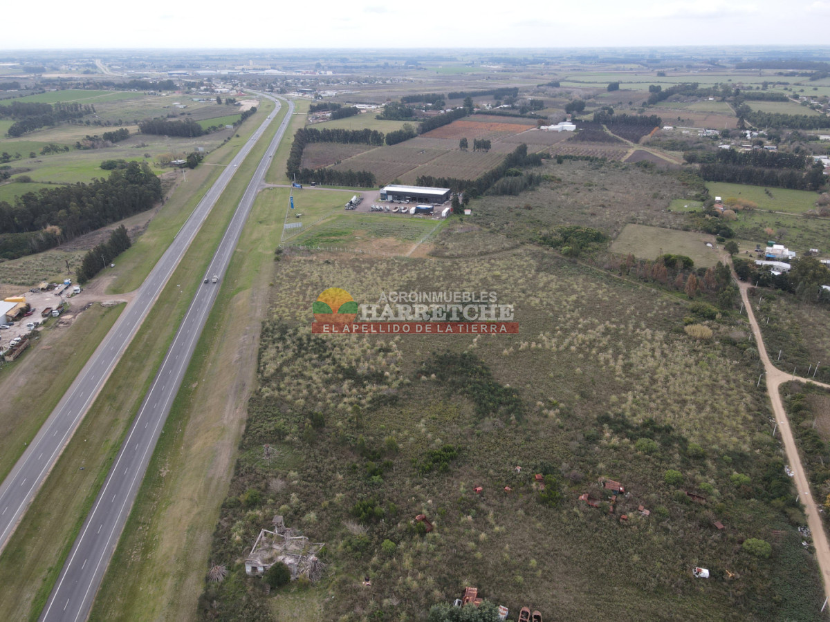 Terreno ID.526 - Terreno en venta 37.988 m2 suburbanos sobre ruta 5, logisticos.