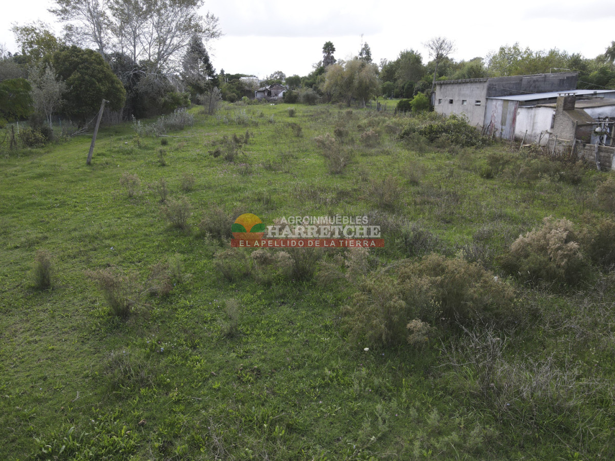 Terreno ID.514 - Terreno en Santa Lucia, 4696 m2 con frente a ruta y calle!