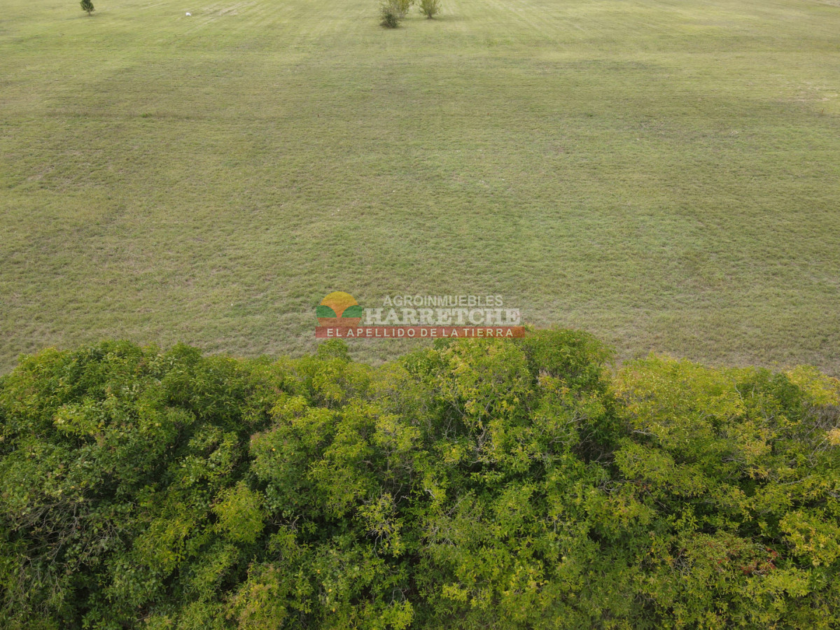 Terreno ID.517 - Terreno en Progreso, 360 m2 en Jardín de los Ingleses (4) ¡Financiación directa!