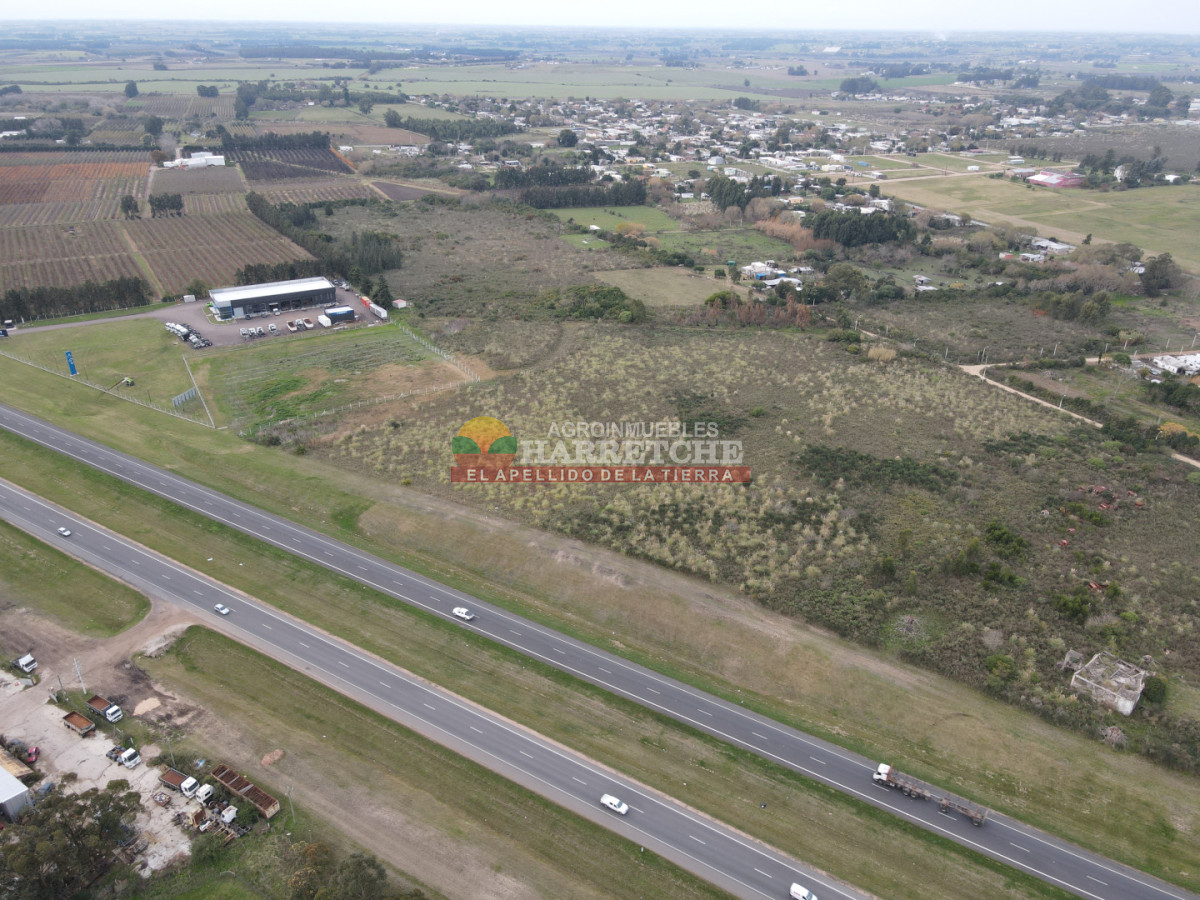 Terreno ID.526 - Terreno en venta 37.988 m2 suburbanos sobre ruta 5, logisticos.