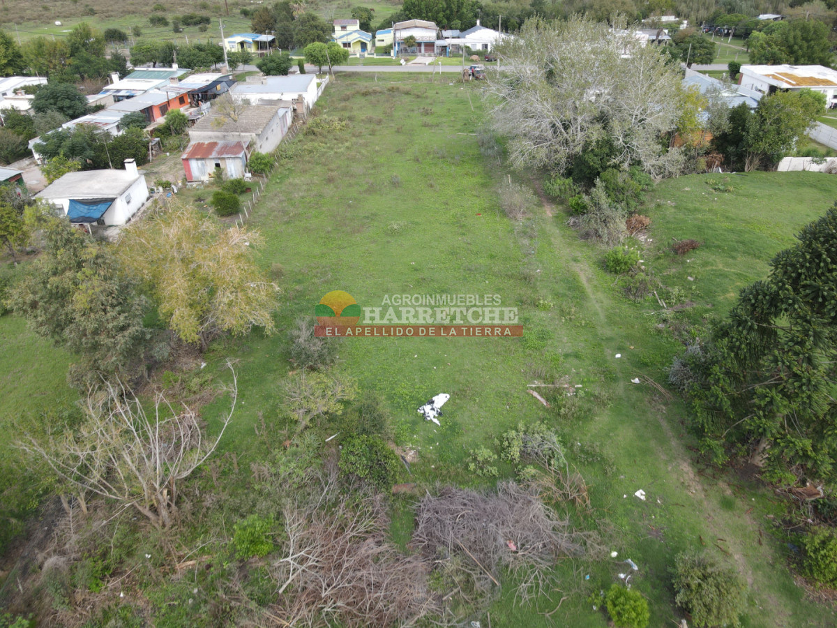 Terreno ID.514 - Terreno en Santa Lucia, 4696 m2 con frente a ruta y calle!