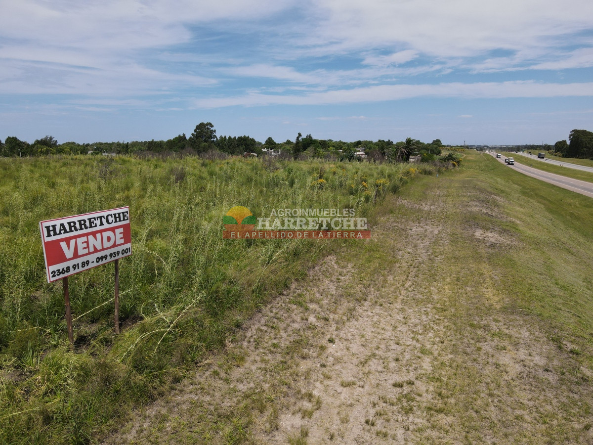 Terreno ID.95 - Terreno 4 en venta sobre ruta 5 suburbanos 4 padrones. ¡¡¡ÚNICOS!!!