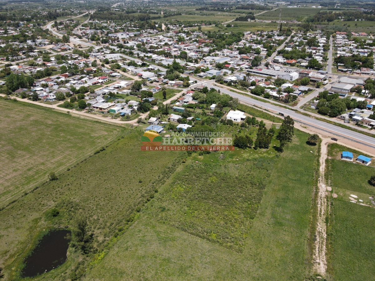 Terreno ID.348 - Terreno de 8000 m2 en Progreso, ideal fraccionamiento.