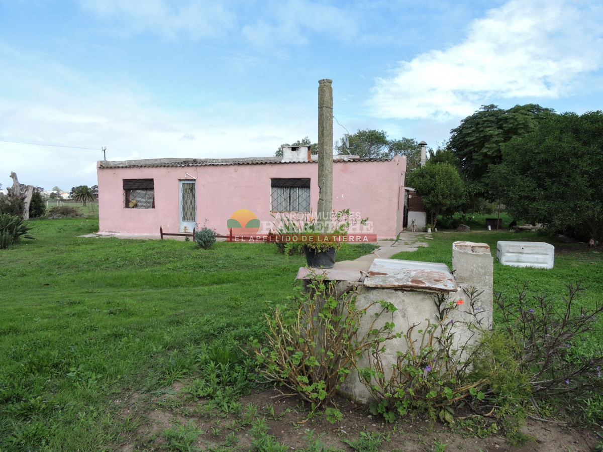 Terreno ID.310 - Casa con terreno en venta a pasitos de ruta 1, 7395 m2, Paso de la Arena.