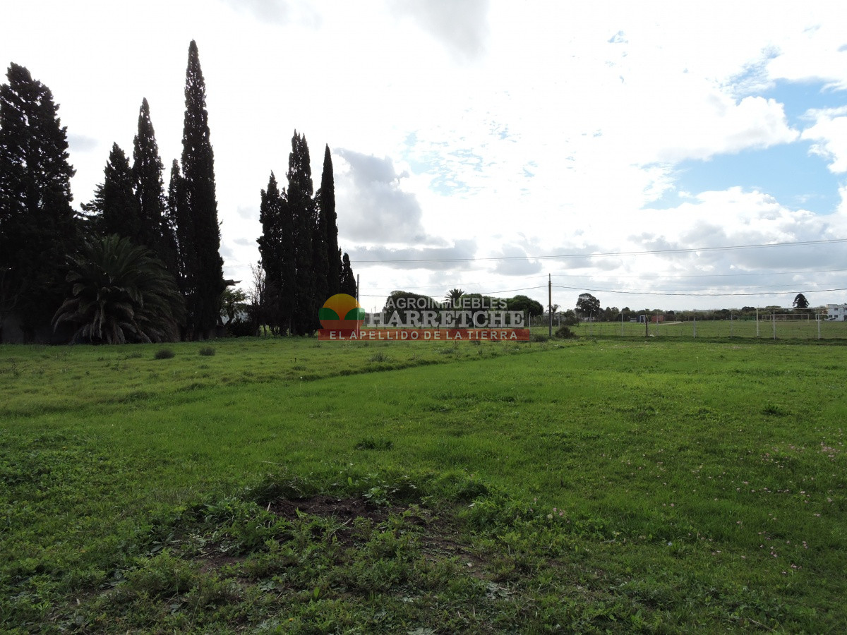 Terreno ID.310 - Casa con terreno en venta a pasitos de ruta 1, 7395 m2, Paso de la Arena.