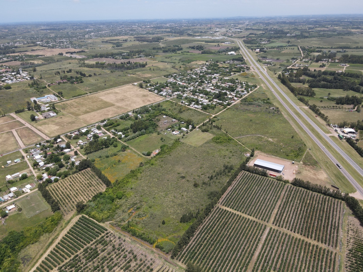 Terrenos suburbanos  frente a Ruta 5: Conjunto de Padrones  Ideal Logística o Industria