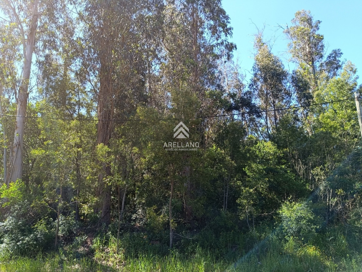 Terreno ID.2900 - Venta terreno Ocean Park 1008 m2 