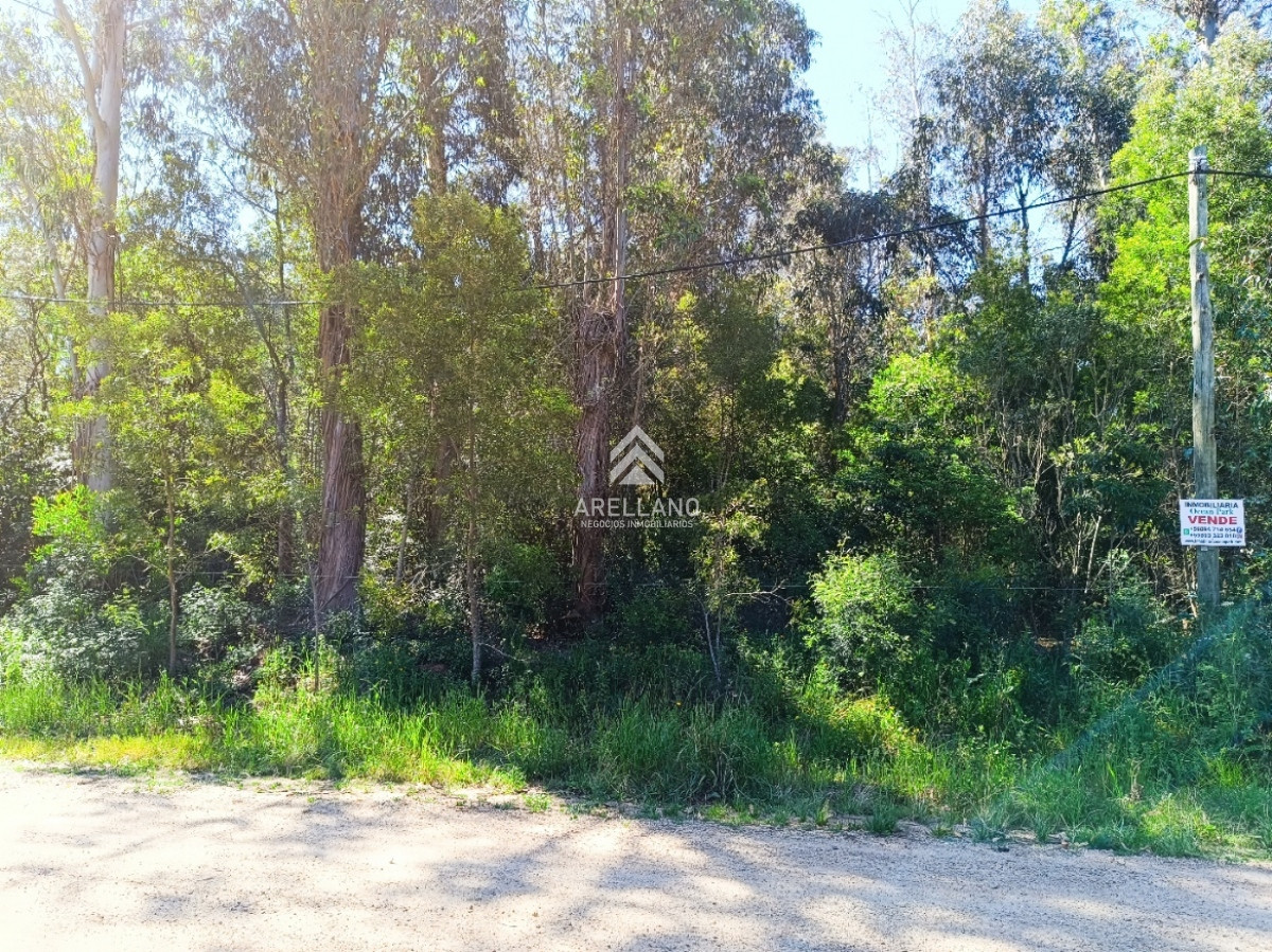 Terreno ID.2900 - Venta terreno Ocean Park 1008 m2 