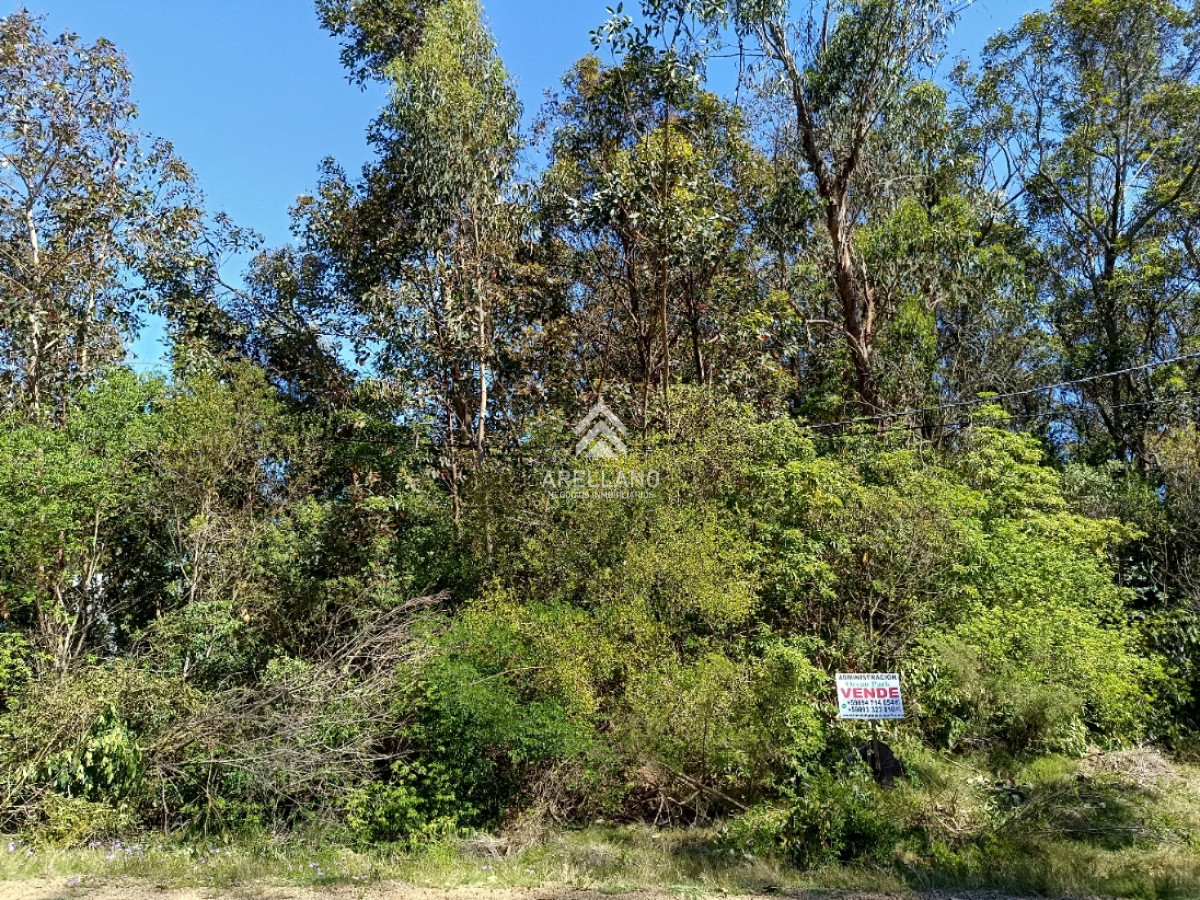 Terreno ID.2901 - Venta terreno Ocean Park 1008 m2 