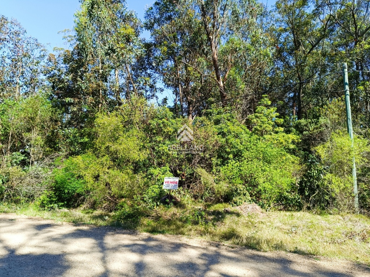 Terreno ID.2901 - Venta terreno Ocean Park 1008 m2 
