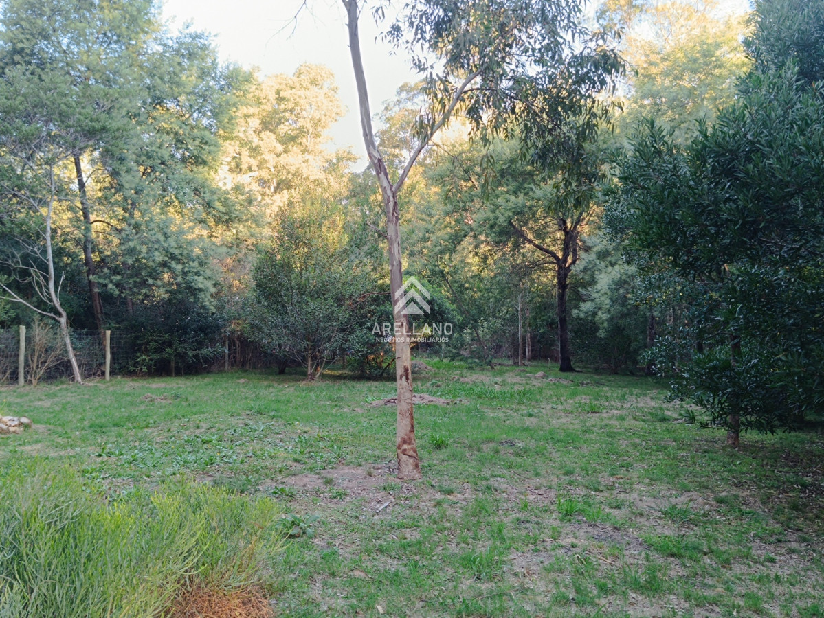 Terreno ID.5270 - Venta lote cercado en sauce de portezuelo