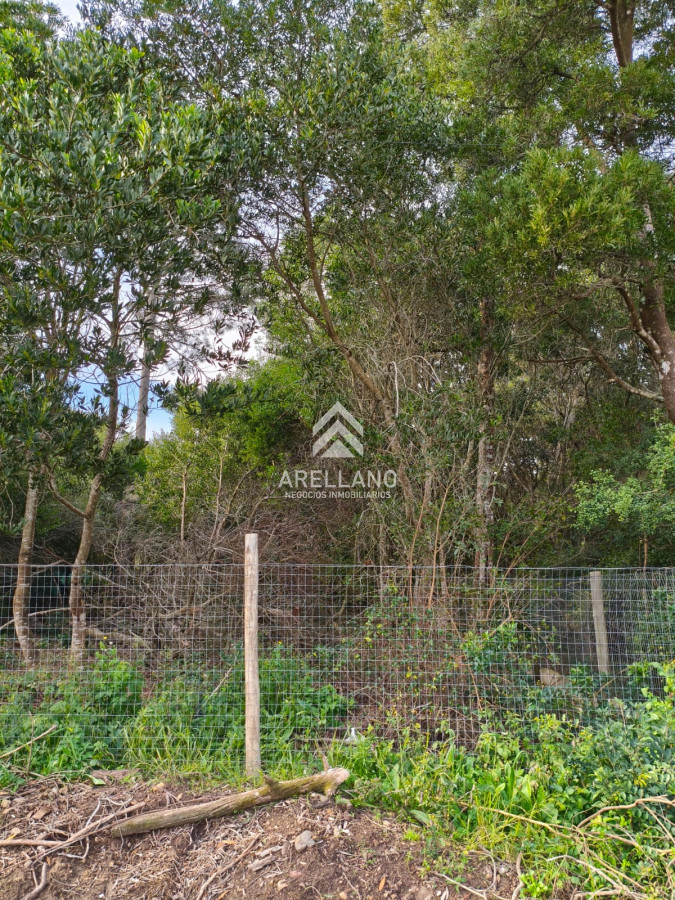 Terreno ID.5199 - Venta terreno Ocean Park 