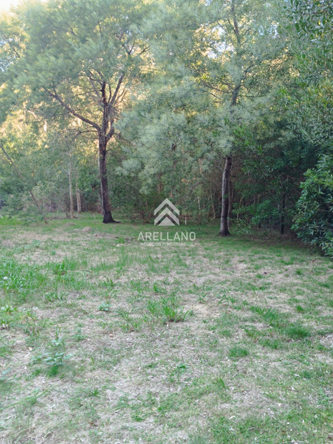 Terreno ID.5270 - Venta lote cercado en sauce de portezuelo