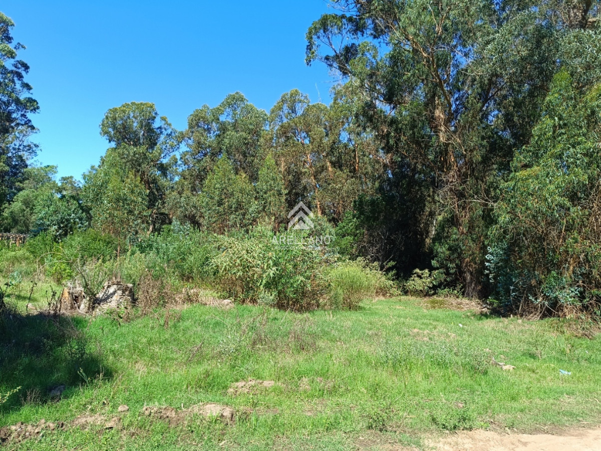 Terreno ID.5269 - Amplio terreno en Sauce