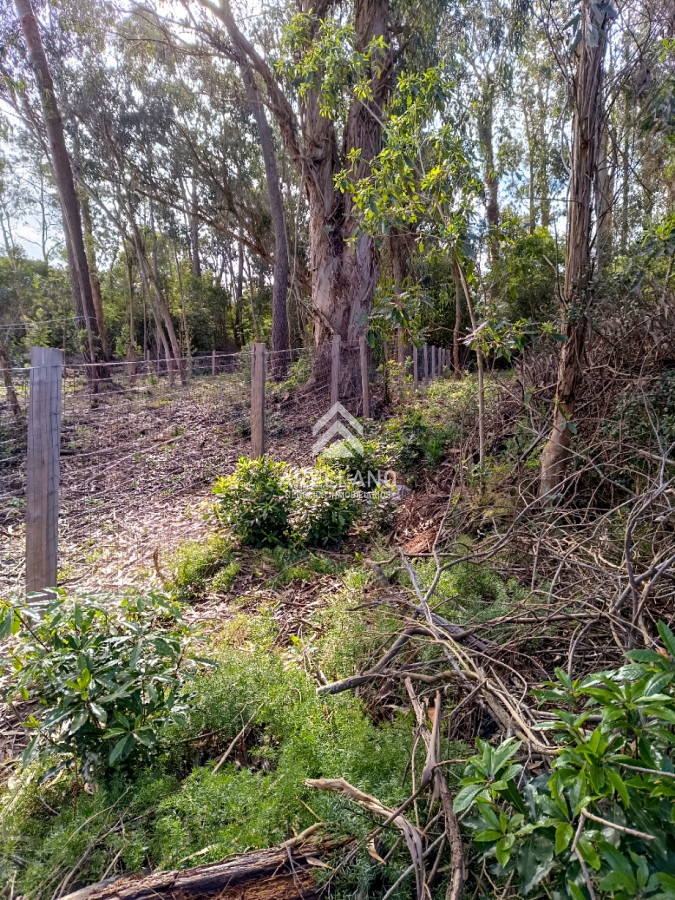 Terreno ID.2902 - Venta terreno Ocean Park 823 m2 