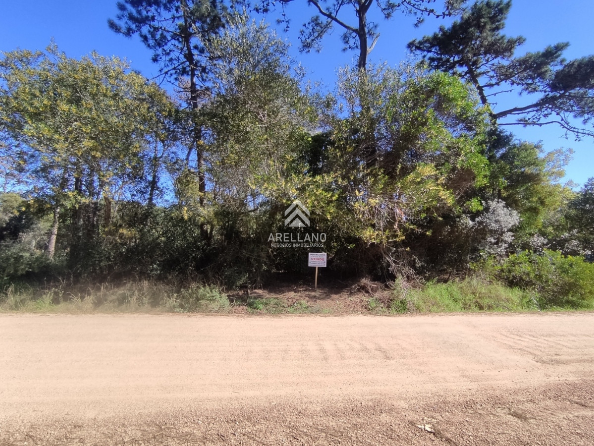 Terreno ID.2894 - Venta terreno Ocean Park  1035 mts