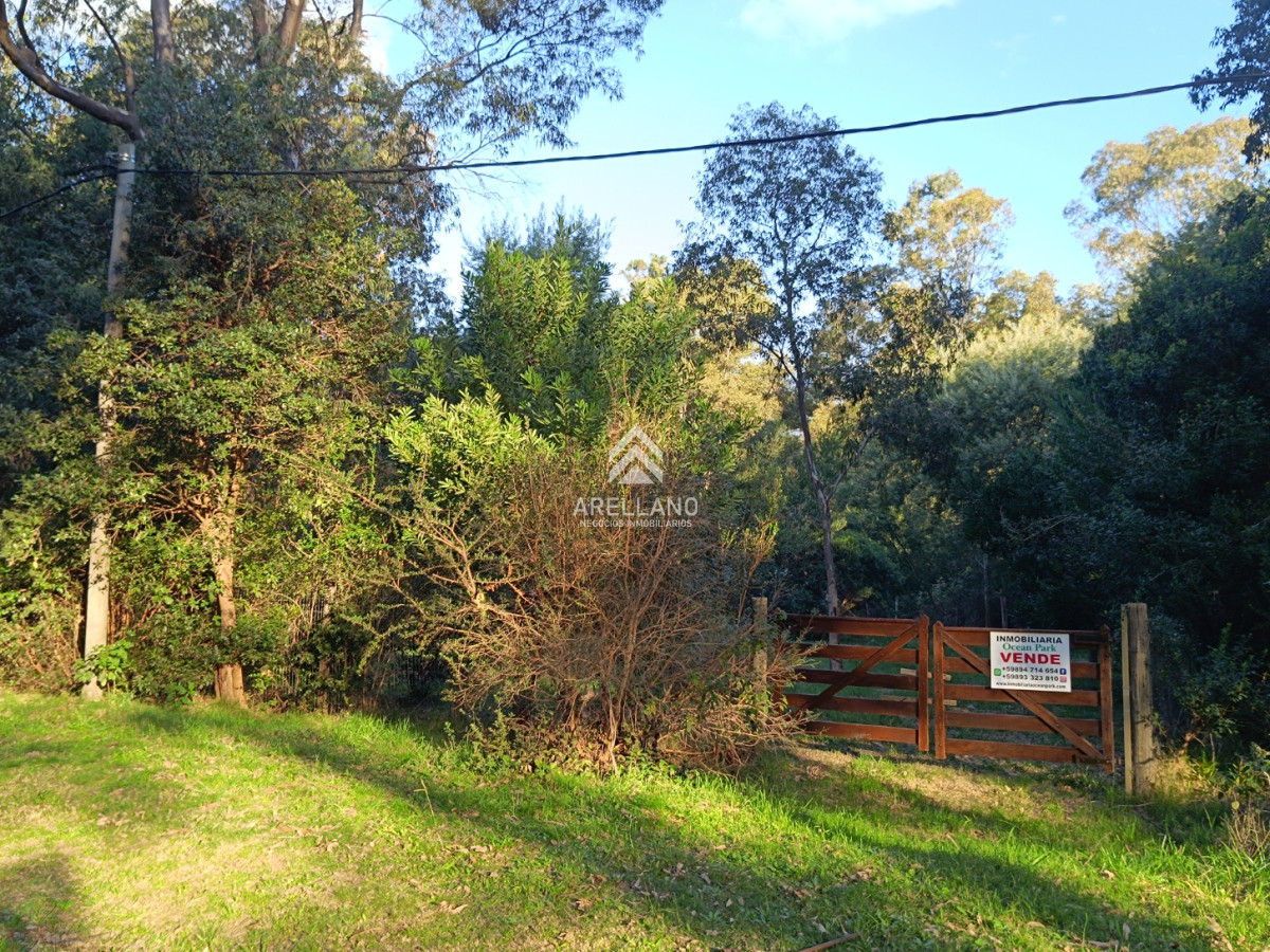 Terreno ID.5270 - Venta lote cercado en sauce de portezuelo