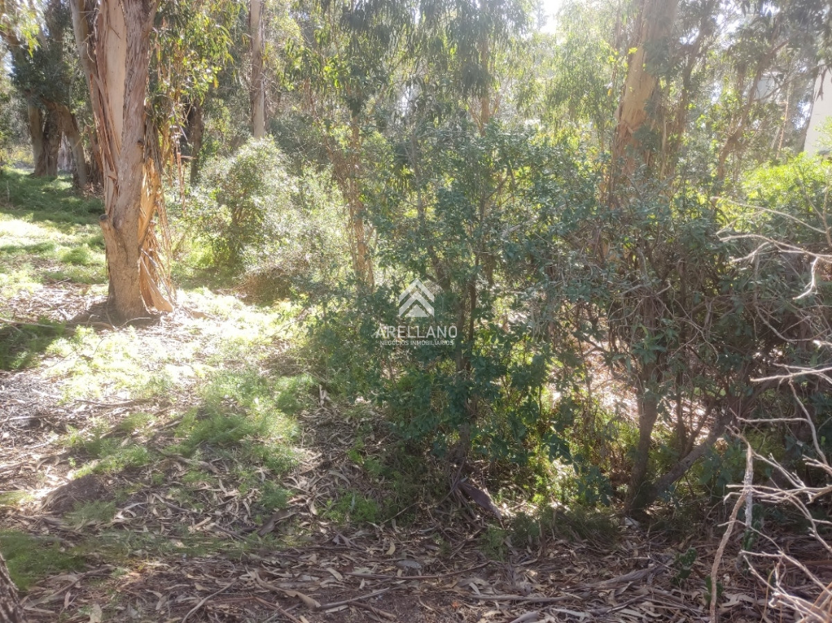 Terreno ID.2897 - Venta terreno Ocean Park 461m2