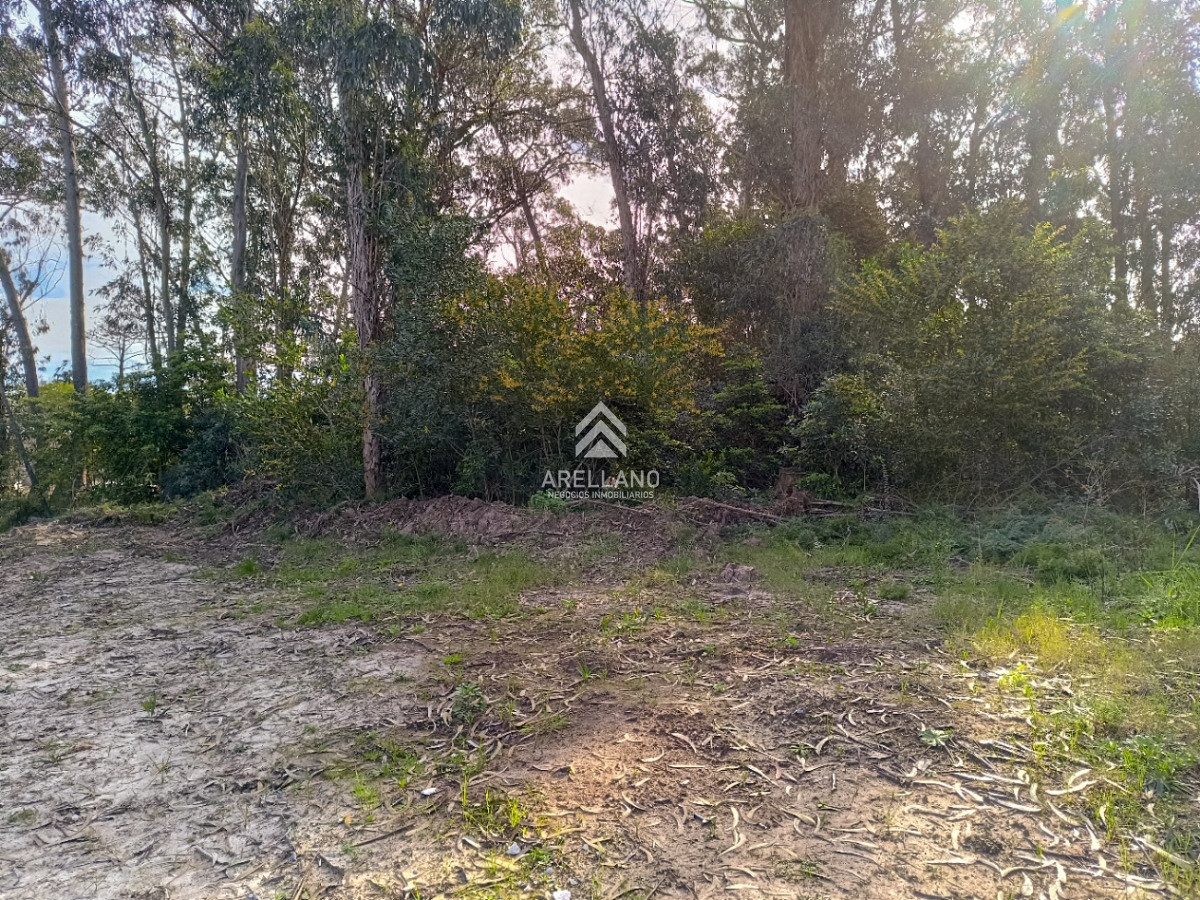 Terreno ID.2902 - Venta terreno Ocean Park 823 m2 