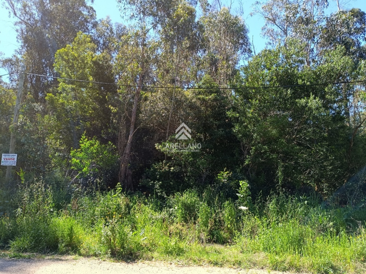 Terreno ID.2899 - Venta terreno Ocean Park 1008 m2 