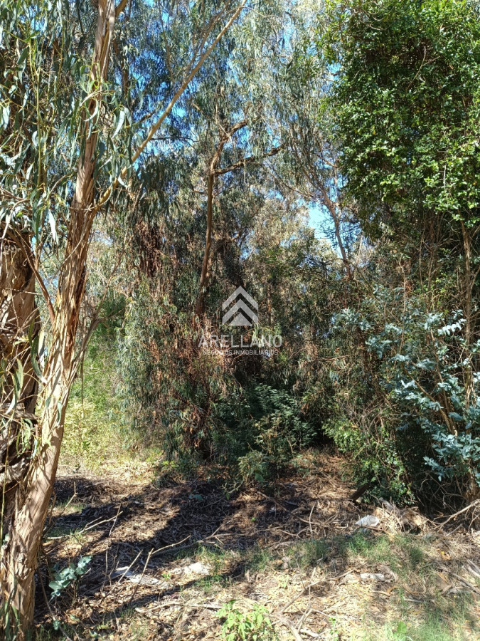 Terreno ID.5269 - Amplio terreno en Sauce