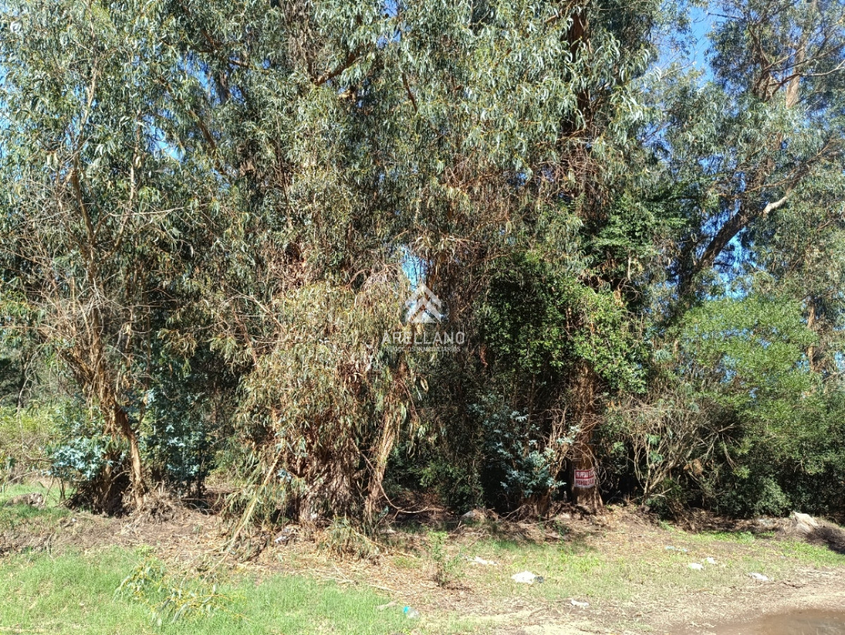 Terreno ID.5269 - Amplio terreno en Sauce